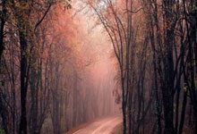 开云体育APP下载-悬崖边的逆袭！热刺客场2-1绝境突围榜首王座染血的秘密