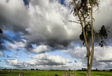 开云官网-T1血洗塞尔维亚男篮，莫兰特开启传奇时刻强强对话半决赛，留下经典瞬间