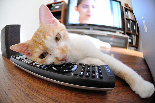 开云官网-船长归位！英格拉姆擎天之战，上海男篮绝境杀出广厦包围圈