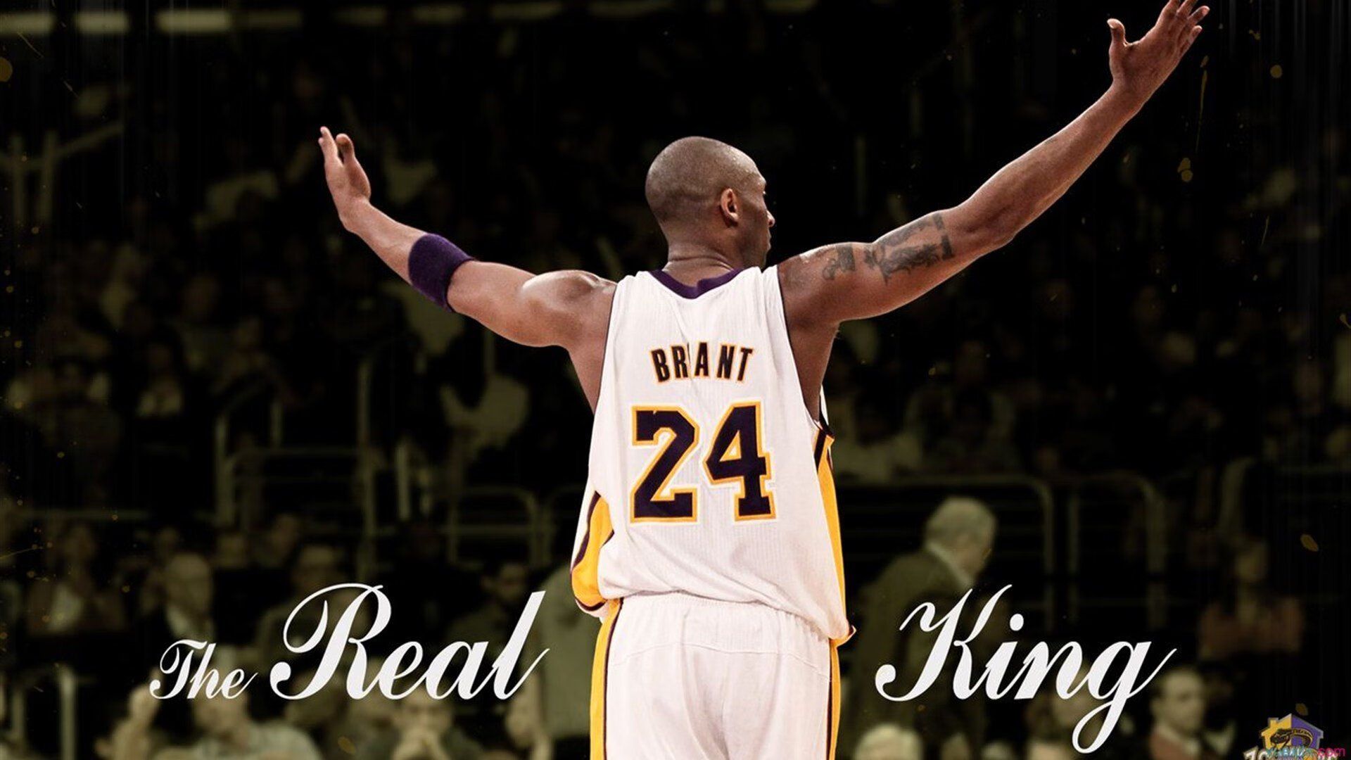 开云体育在线-浓眉爆发，广东队末节带走尼克斯—一场跨联盟对决的震撼之夜